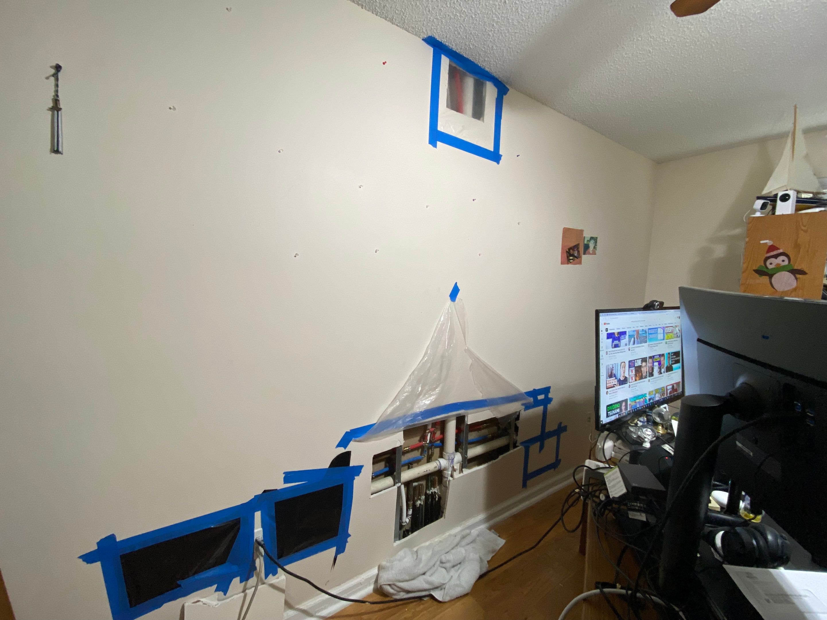 Mold Remediation